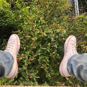 Meet your Posher, Gavin